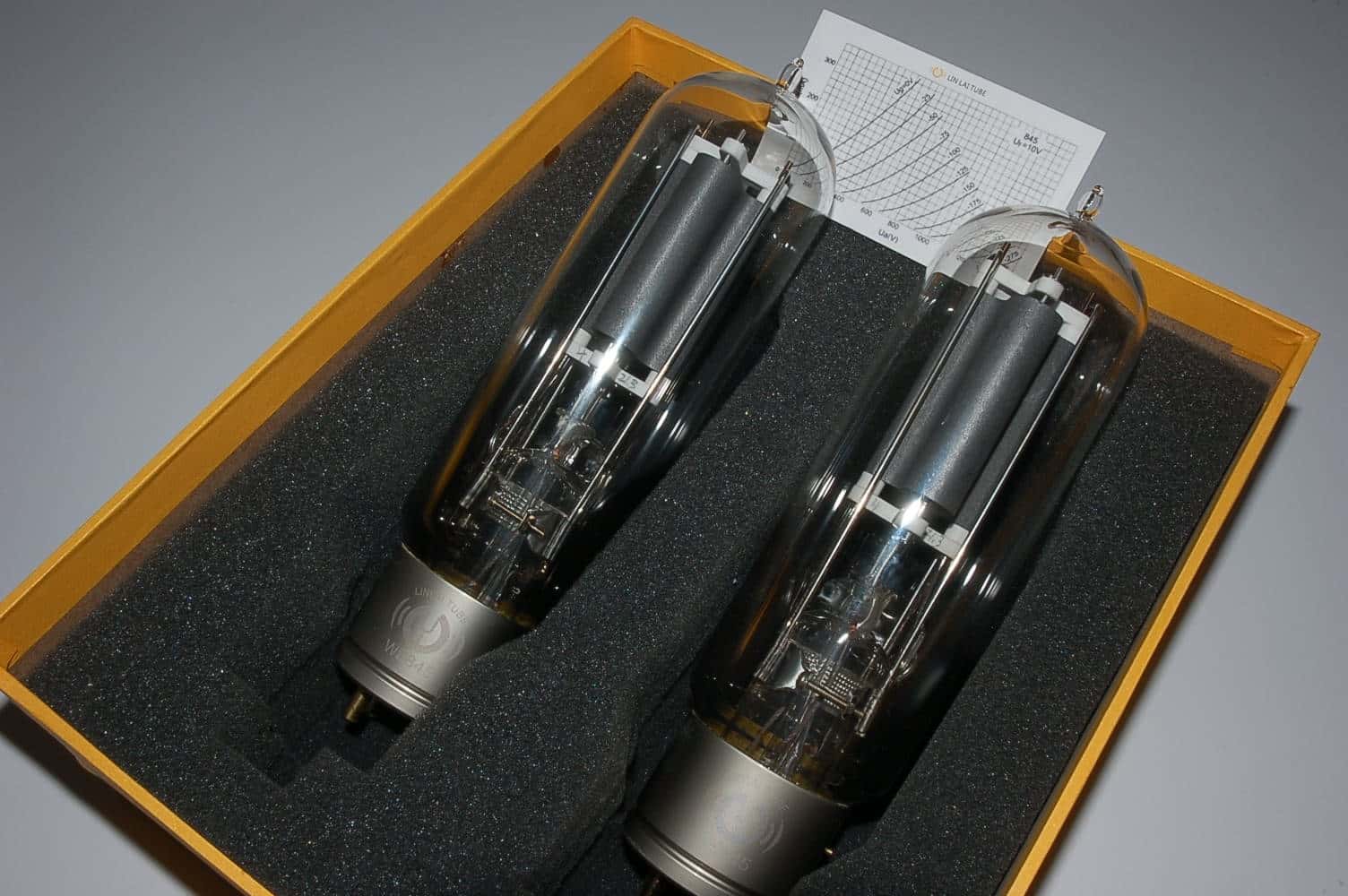 WE845 Paar Linlai Power tubes factory matched Pair  T110-1