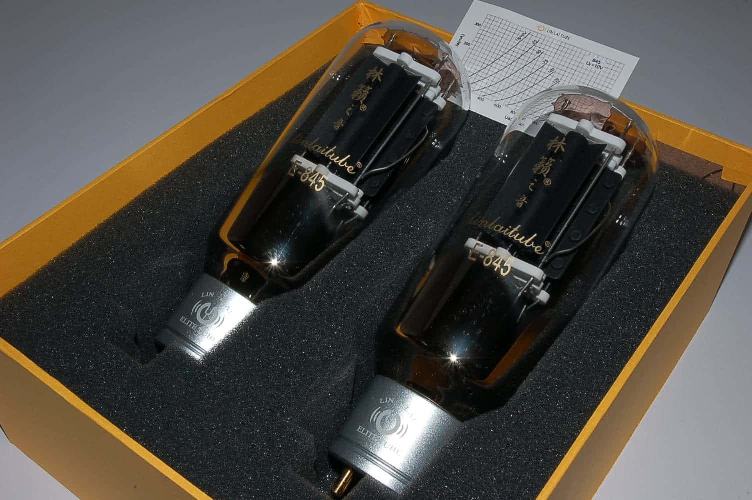 E-845 Paar Linlai Röhren BTB High-End matched 845 Pair tube